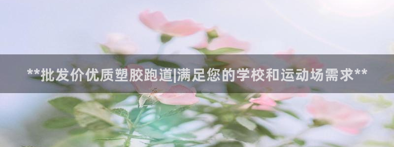 红足一1世比分网：**批发价优质塑胶跑道|满足您的学校和运动场需求**