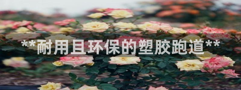 333814红·足一世比分：**耐用且环保的塑胶跑道**