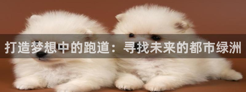 红足1世1站：打造梦想中的跑道：寻找未来的都市绿洲