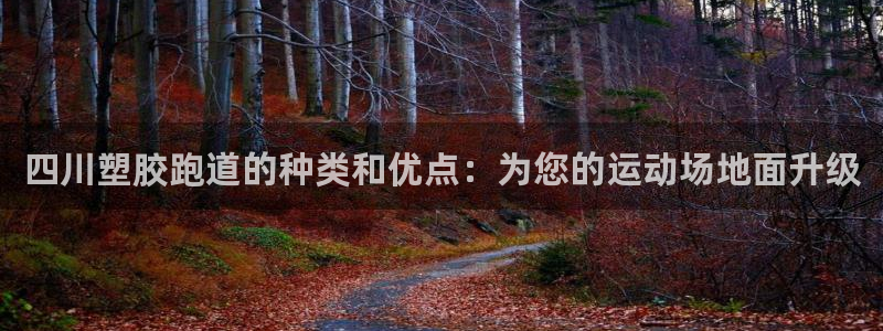 红足一生世：四川塑胶跑道的种类和优点：为您的运动场地面升级