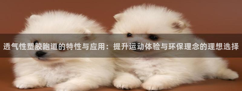 红足1一世足球手机:透气性塑胶跑道的特性与应用:提升运动体验与环保理念的理想选择