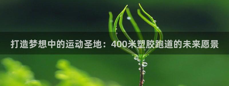 红足1世官网：打造梦想中的运动圣地：400米塑胶跑道的未来愿景