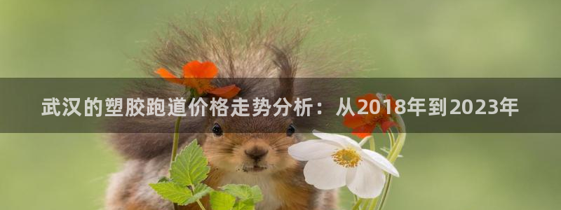 红足一1世66814：武汉的塑胶跑道价格走势分析：从2018年到2023年