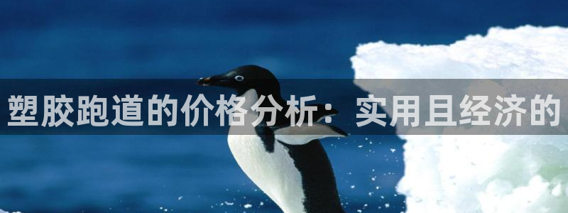 红足 世足球手机网：塑胶跑道的价格分析：实用且经济的