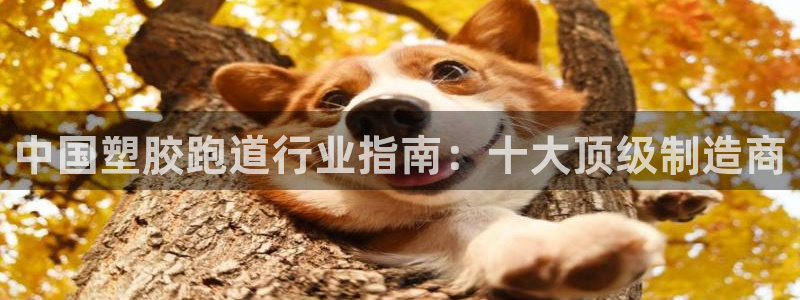 红足1世足球比分 localhost：中国塑胶跑道行业指南：十大顶级制造商