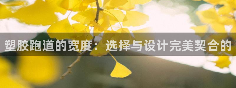 百度红足一1是为什么：塑胶跑道的宽度：选择与设计完美契合的