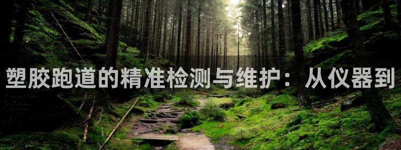 红足1世1站2站管理网：塑胶跑道的精准检测与维护：从仪器到