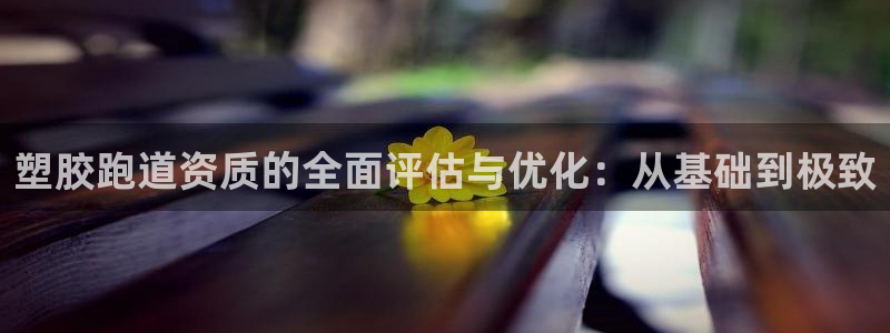 红足一1世官网比分：塑胶跑道资质的全面评估与优化：从基础到极致