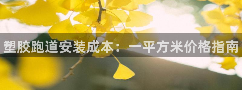 红姐现场直播开奖记录：塑胶跑道安装成本：一平方米价格指南