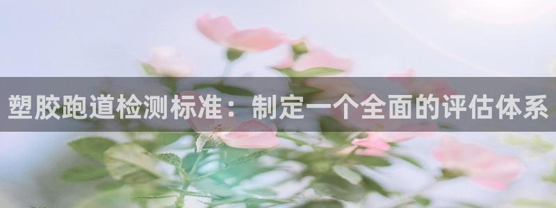 红足一1世666814足球：塑胶跑道检测标准：制定一个全面的评估体系