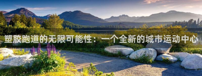 红足一1世比分：塑胶跑道的无限可能性：一个全新的城市运动中心