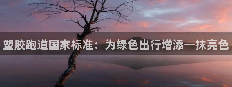 红足一1世666814足球比分网:塑胶跑道国家标准:为绿色出行增添一抹亮色