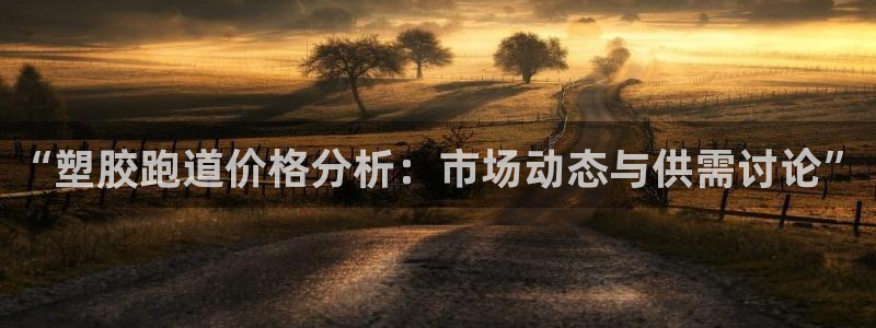 红足一一世：“塑胶跑道价格分析：市场动态与供需讨论”