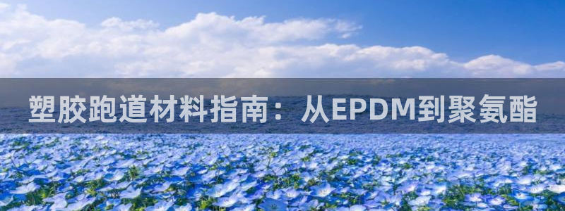 333814红·足一世比分：塑胶跑道材料指南：从EPDM到聚氨酯