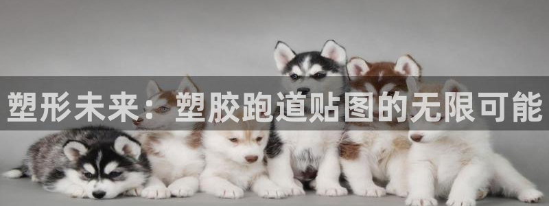 333814红足1世:塑形未来:塑胶跑道贴图的无限可能