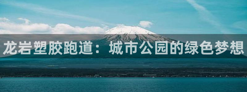 红足1世1站：龙岩塑胶跑道：城市公园的绿色梦想