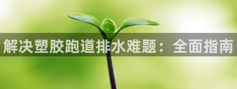 红足一1世手机开奖：解决塑胶跑道排水难题：全面指南