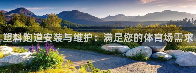 333814红足1世：塑料跑道安装与维护：满足您的体育场需求