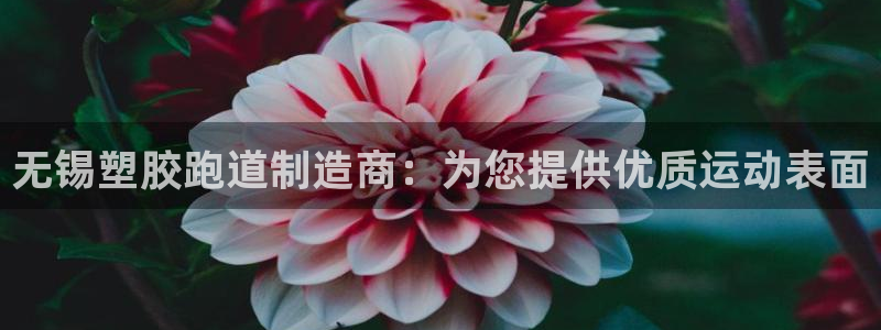 红足1世1站：无锡塑胶跑道制造商：为您提供优质运动表面