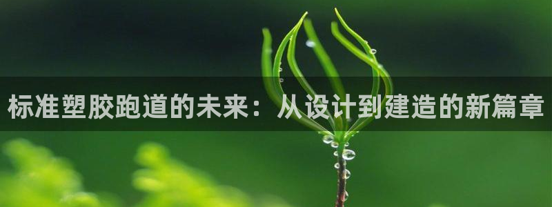 红足1一世:标准塑胶跑道的未来:从设计到建造的新篇章