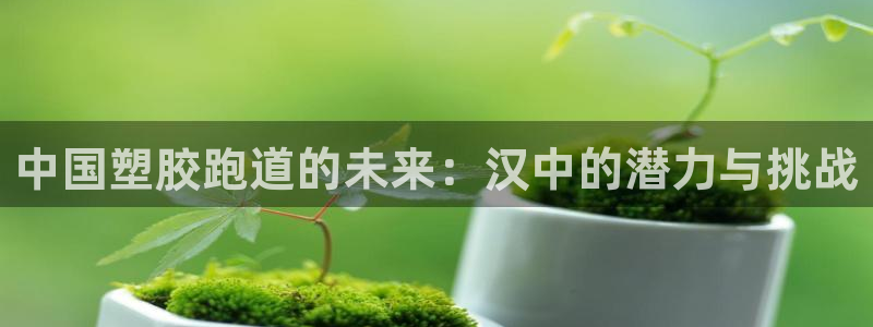 44814红足:中国塑胶跑道的未来:汉中的潜力与挑战