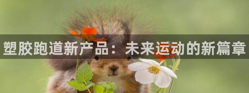 红足1世手足球比分：塑胶跑道新产品：未来运动的新篇章