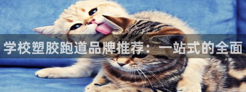 红足一1世666814足球比分网：学校塑胶跑道品牌推荐：一站式的全面