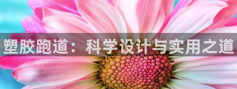 红足1世开奖预测：塑胶跑道：科学设计与实用之道