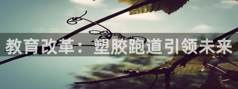 红足一1世666814最新结果：教育改革：塑胶跑道引领未来