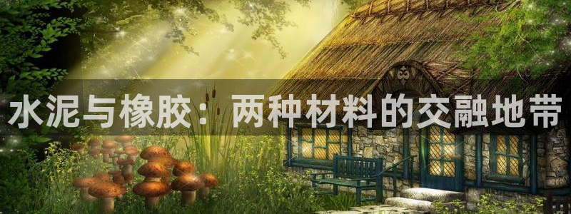 百度红足一1世：水泥与橡胶：两种材料的交融地带