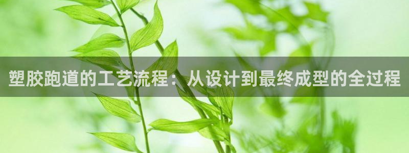 红足i世足球手机网：塑胶跑道的工艺流程：从设计到最终成型的全过程