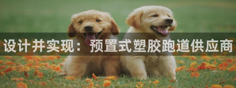 红足1世足球网址：设计并实现：预置式塑胶跑道供应商