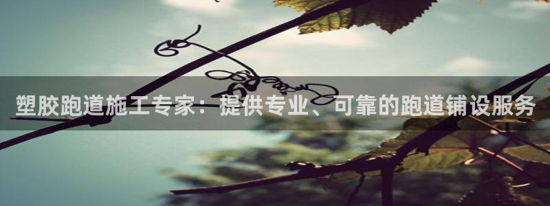 红足一1世手机皇冠:塑胶跑道施工专家:提供专业、可靠的跑道铺设服务