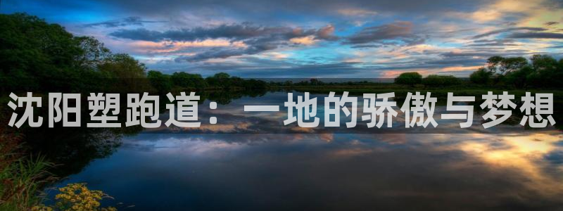 红足1世手机下载：沈阳塑跑道：一地的骄傲与梦想