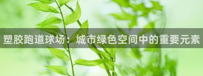 红足i世足球手机网：塑胶跑道球场：城市绿色空间中的重要元素
