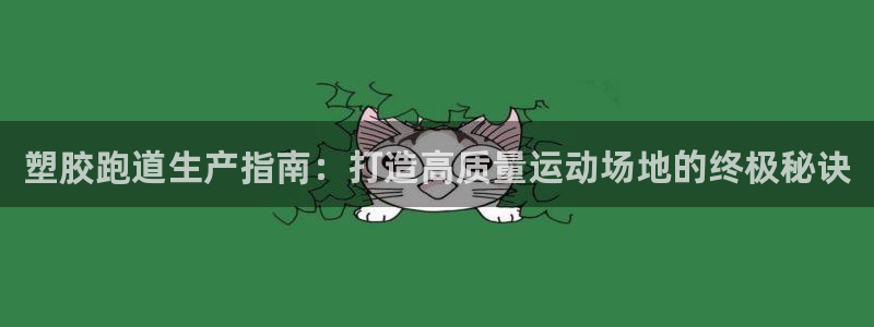 红足一生世：塑胶跑道生产指南：打造高质量运动场地的终极秘诀