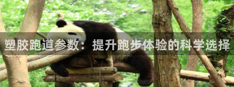 红足一1世666814足球比分网：塑胶跑道参数：提升跑步体验的科学选择