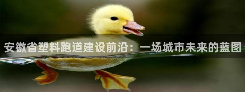 红足1一世 2站:安徽省塑料跑道建设前沿:一场城市未来的蓝图