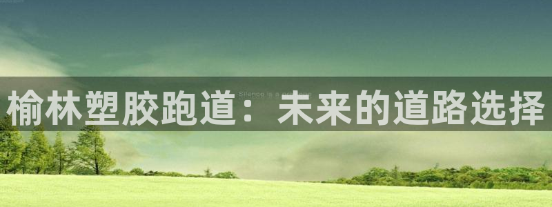 百度红足一1是为什么：榆林塑胶跑道：未来的道路选择