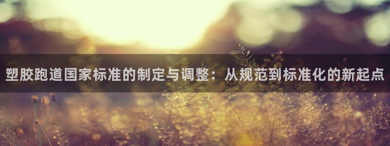 红足一1世皇冠：塑胶跑道国家标准的制定与调整：从规范到标准化的新起点