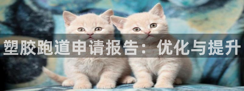 66814红足:塑胶跑道申请报告:优化与提升