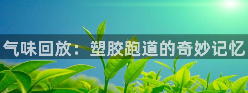 66814红足一66814世：气味回放：塑胶跑道的奇妙记忆