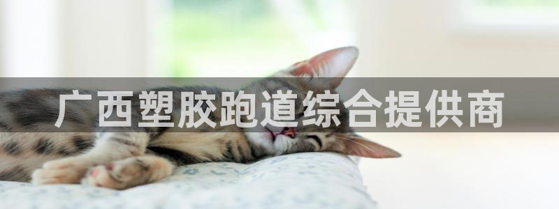 44814红足:广西塑胶跑道综合提供商