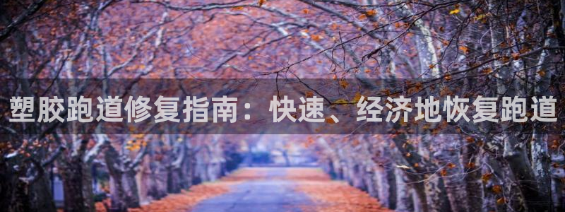 红足1世足球:塑胶跑道修复指南:快速、经济地恢复跑道
