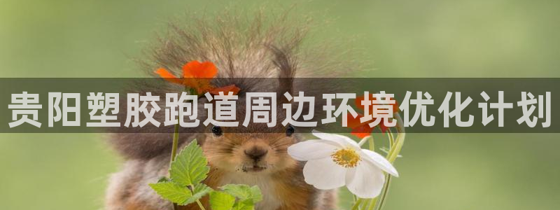 红足一1世即时比分：贵阳塑胶跑道周边环境优化计划