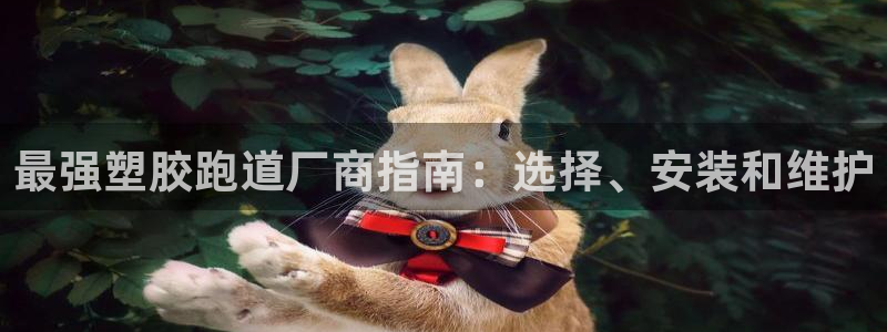 红足1世足球网址:最强塑胶跑道厂商指南:选择、安装和维护