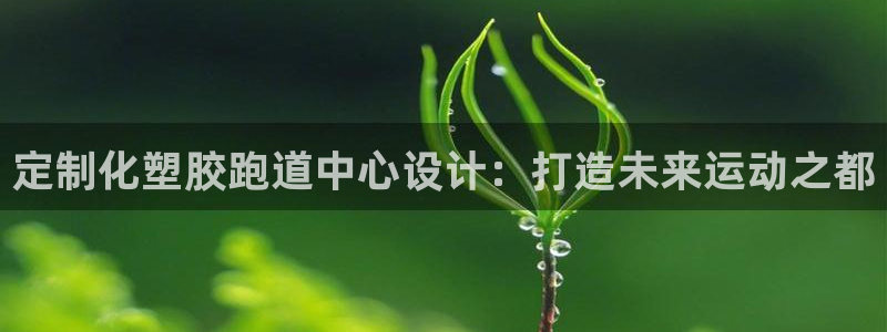 红足 世足球手机网：定制化塑胶跑道中心设计：打造未来运动之都