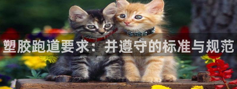 红足一1世：塑胶跑道要求：并遵守的标准与规范