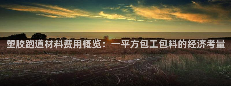 红足一1世：塑胶跑道材料费用概览：一平方包工包料的经济考量