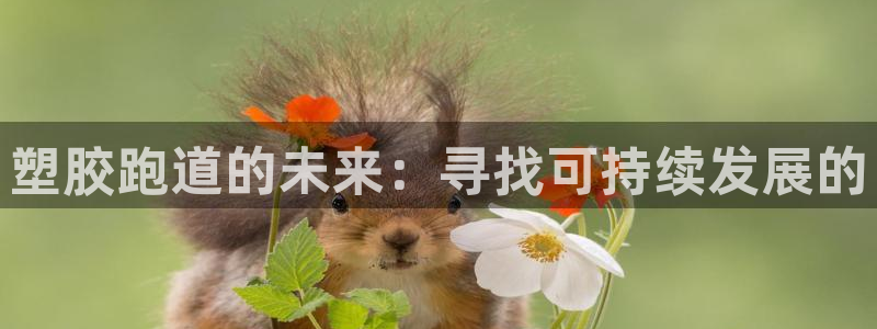 777814红·足一世：塑胶跑道的未来：寻找可持续发展的